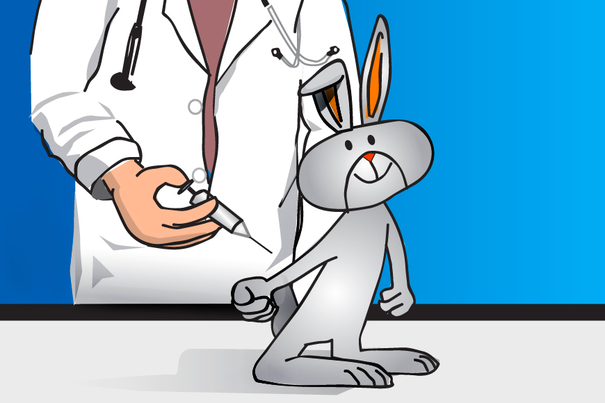 Afbeeldingsresultaat voor konijn inenten